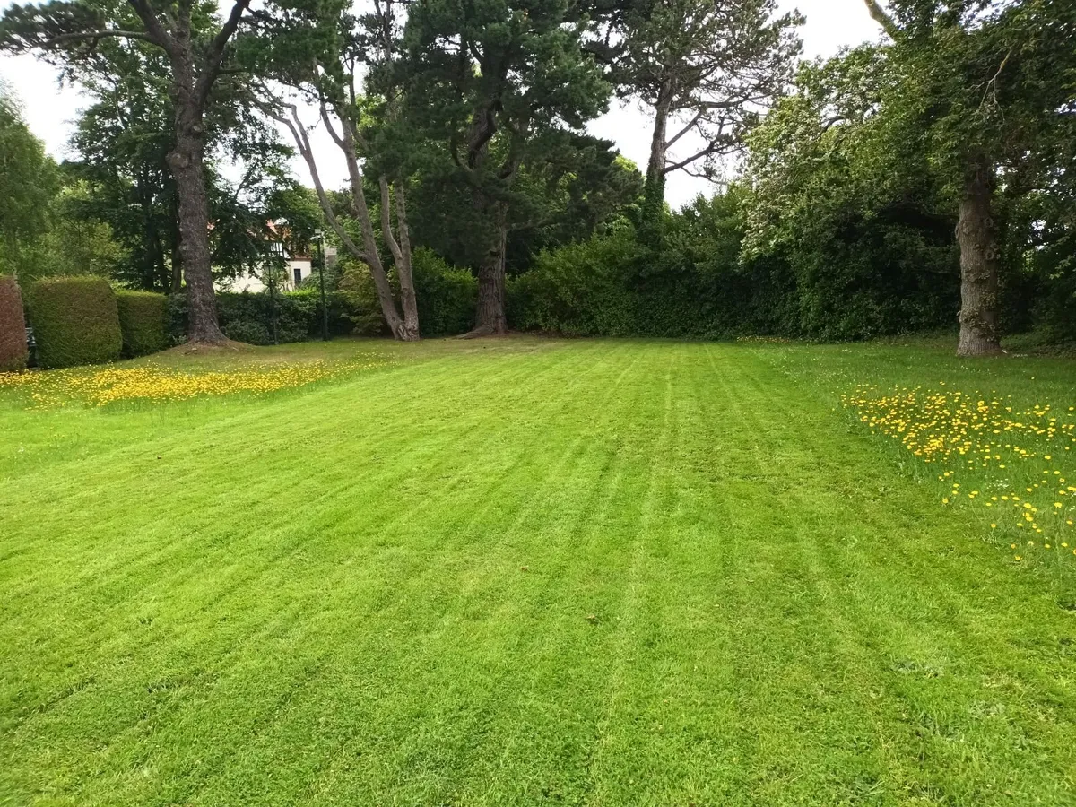 Qualified Horticulturalist and Gardener - Image 3