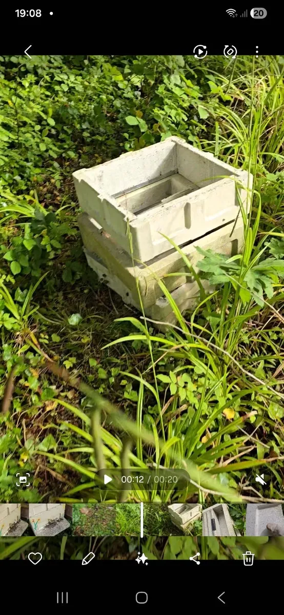 Bees. National poly hive - Image 3