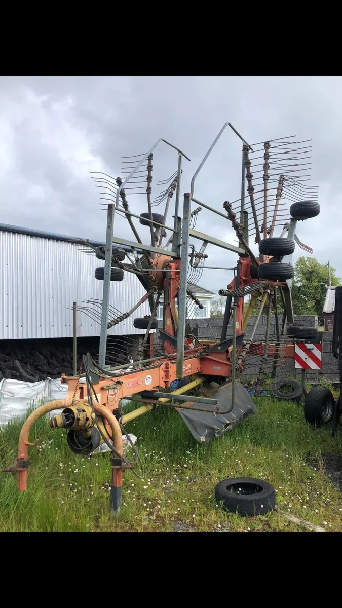 Grass rake - Image 1