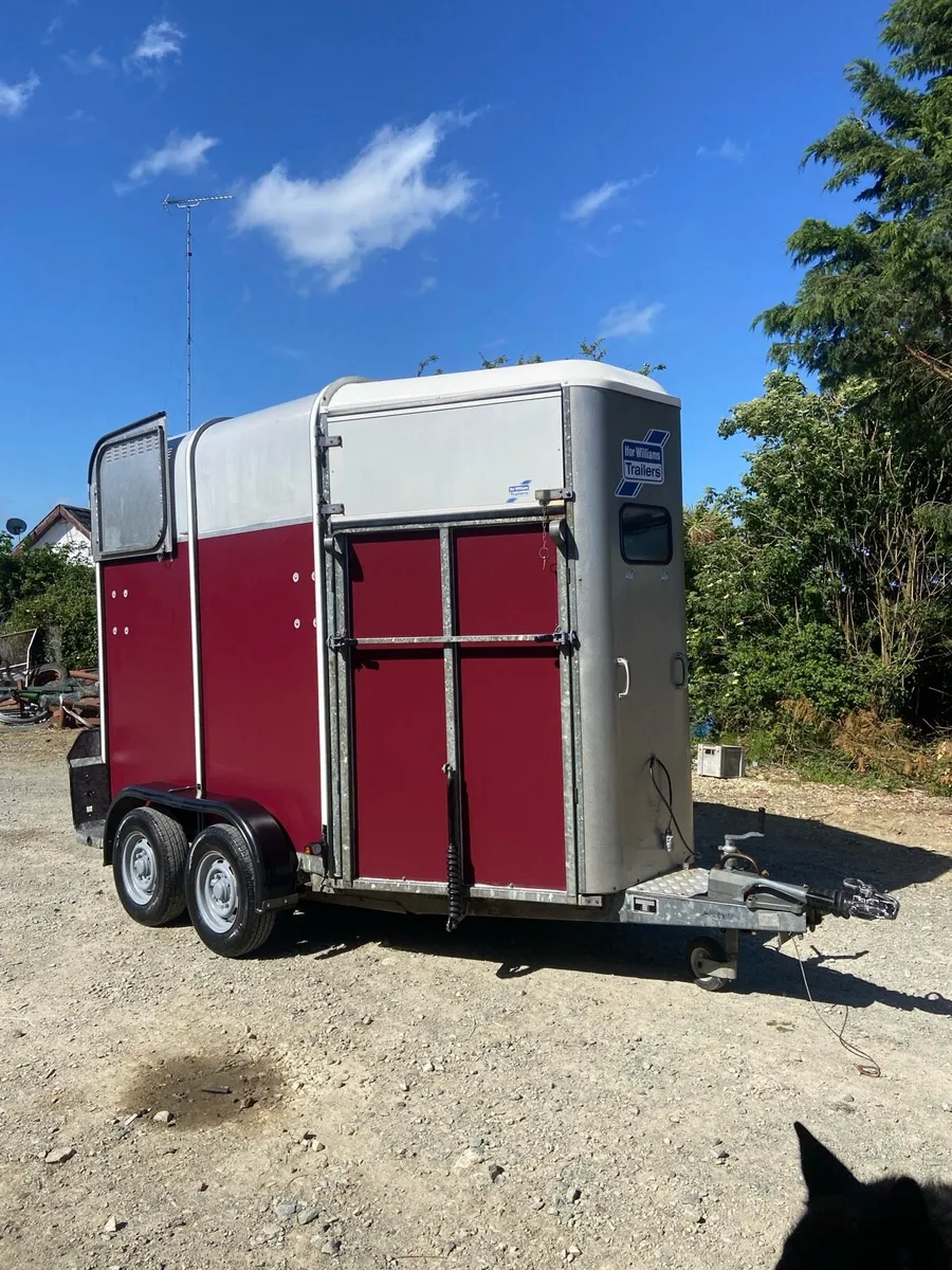 Ifor Williams 505 - Image 1