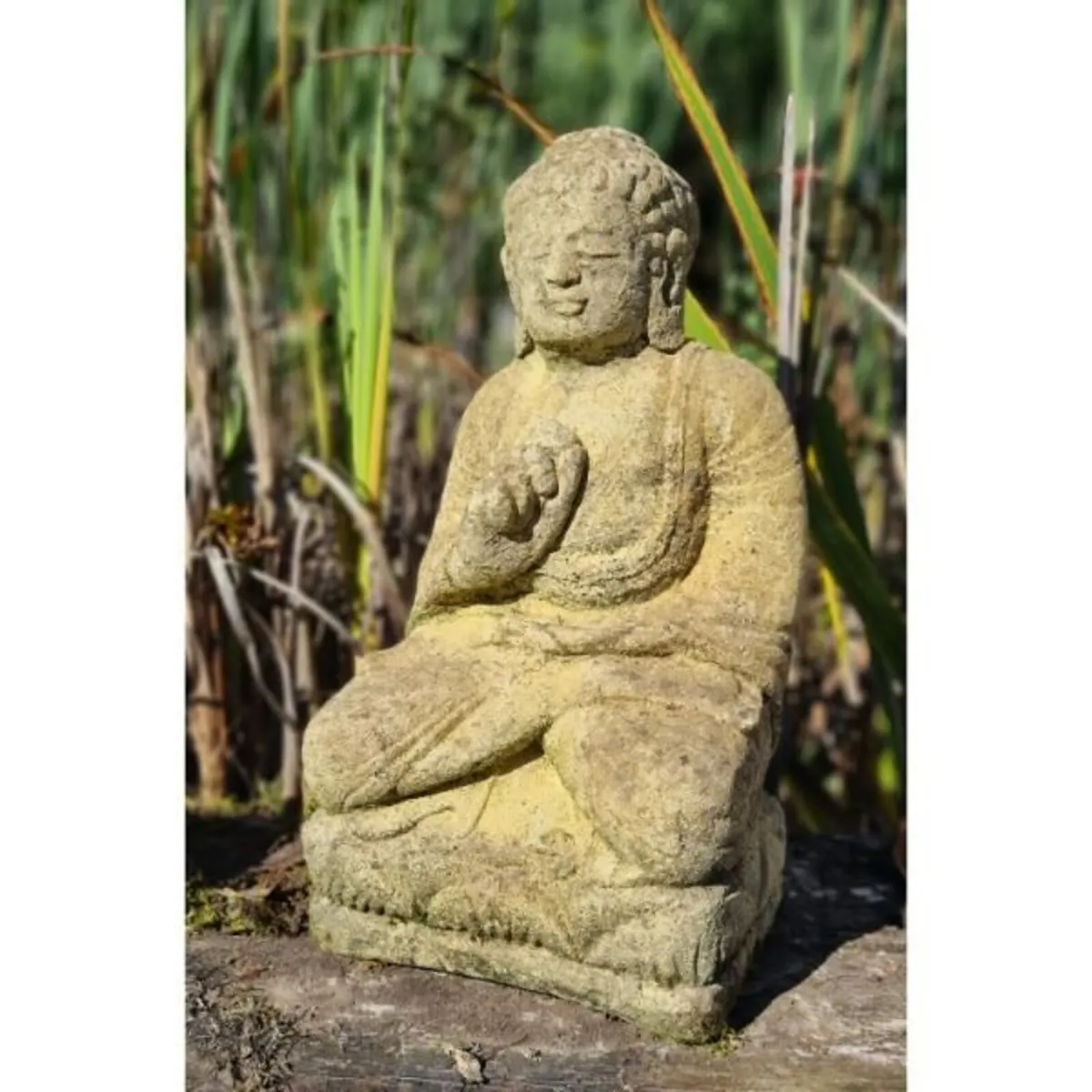 Buddha Lotus EG110 - Image 1