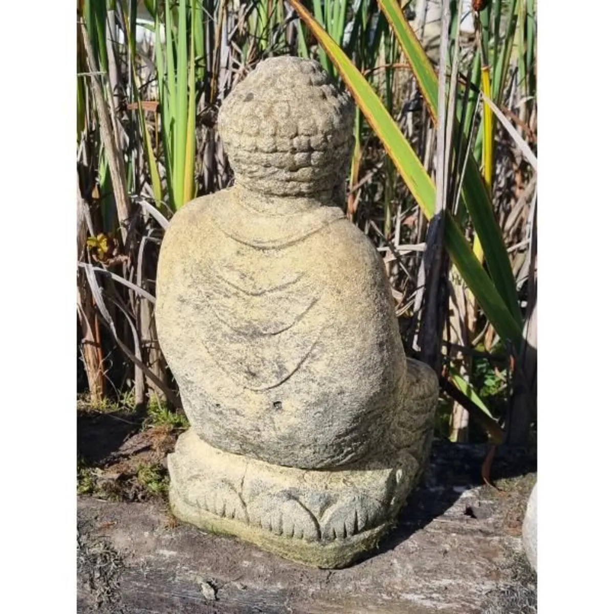 Buddha Lotus EG110 - Image 2