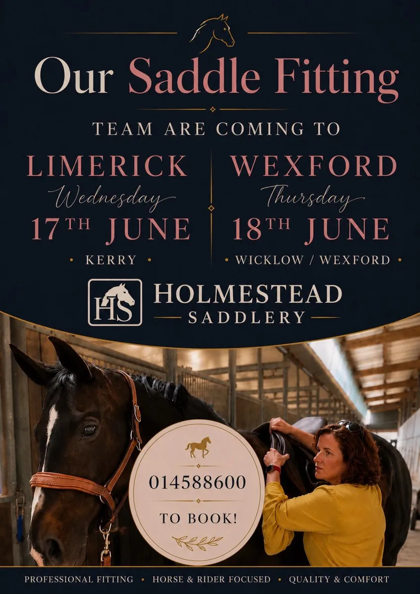 HOLMESTEAD SADDLE FITTING  LIMERICK / KERRY - Image 1