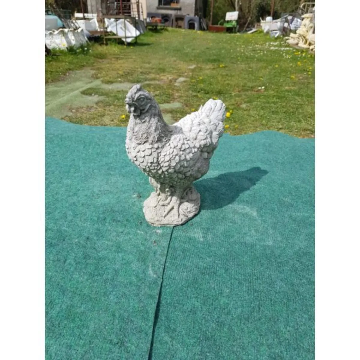 Chicken-GL-BR005