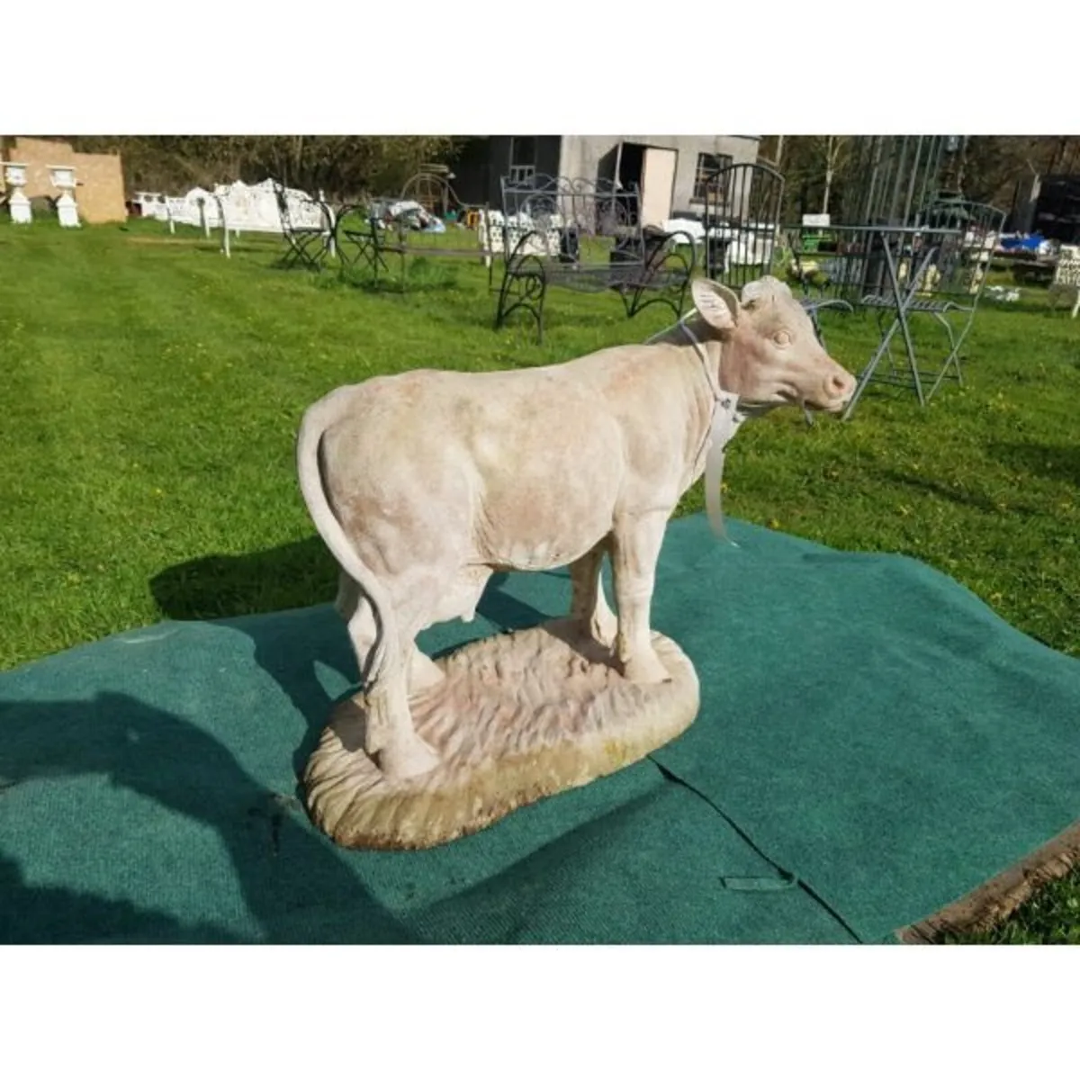 Cow – Standing – SA043