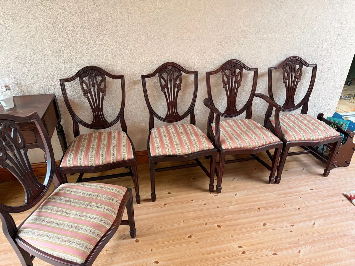 Mahogany chairs