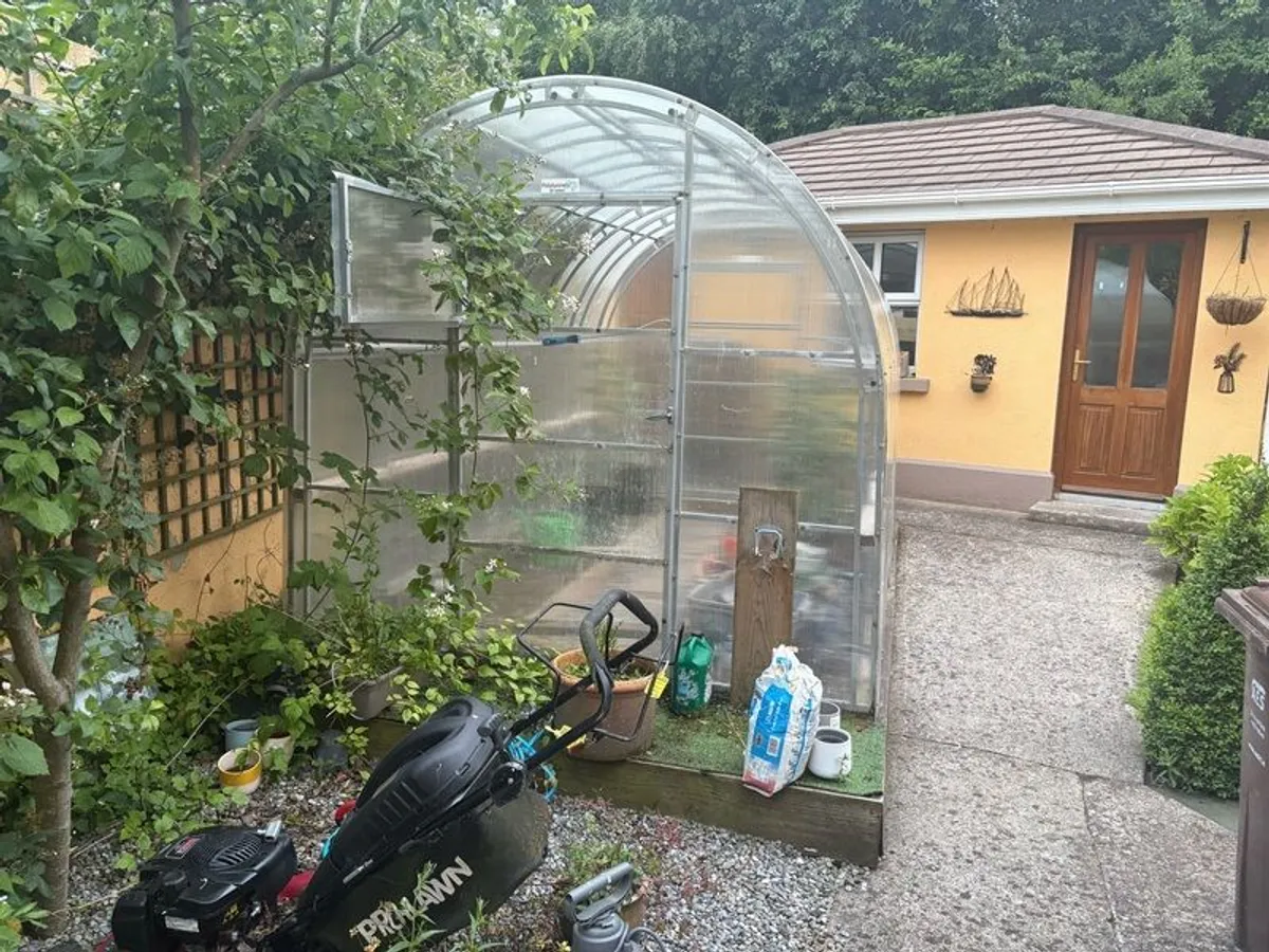 green house / Polly tunnel - Image 2