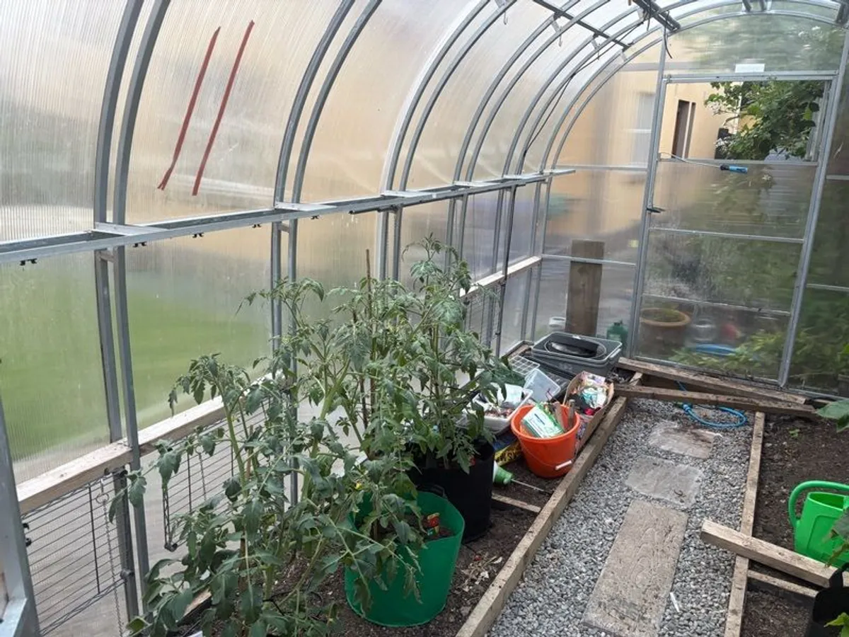 green house / Polly tunnel - Image 3