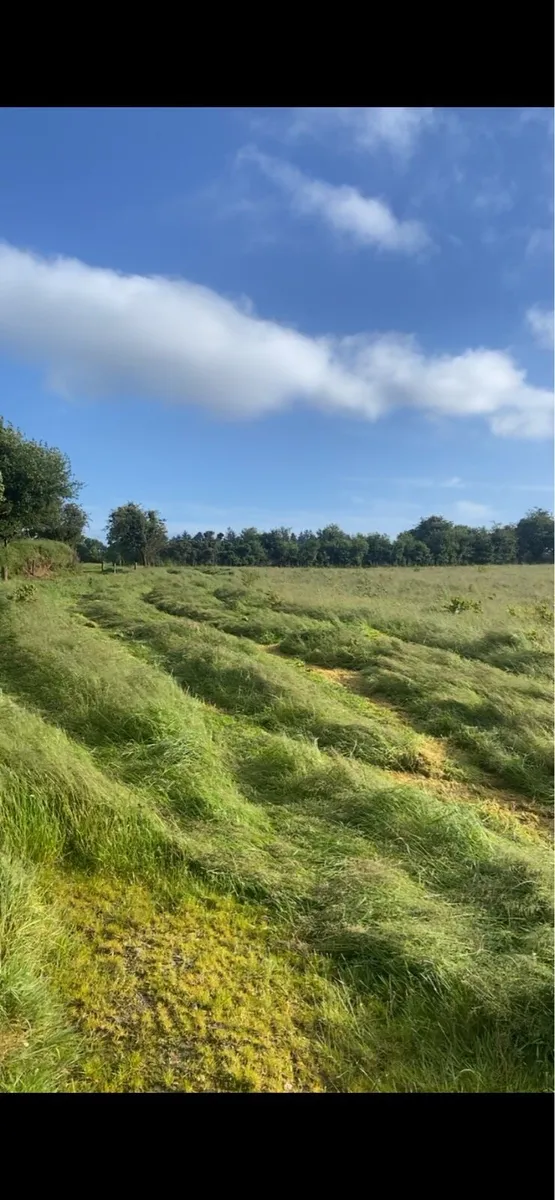 10 acres silage bales