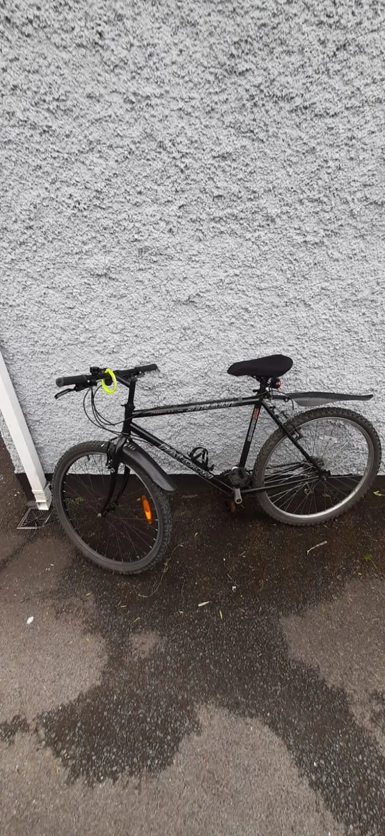 Bicycle - Image 1