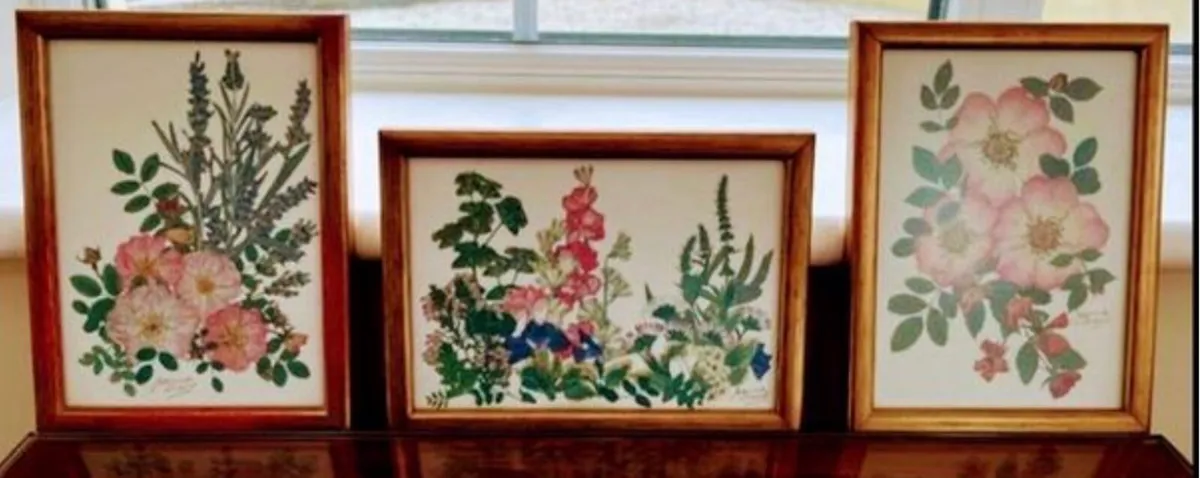 Set of 3 botanical framed  art - Image 1