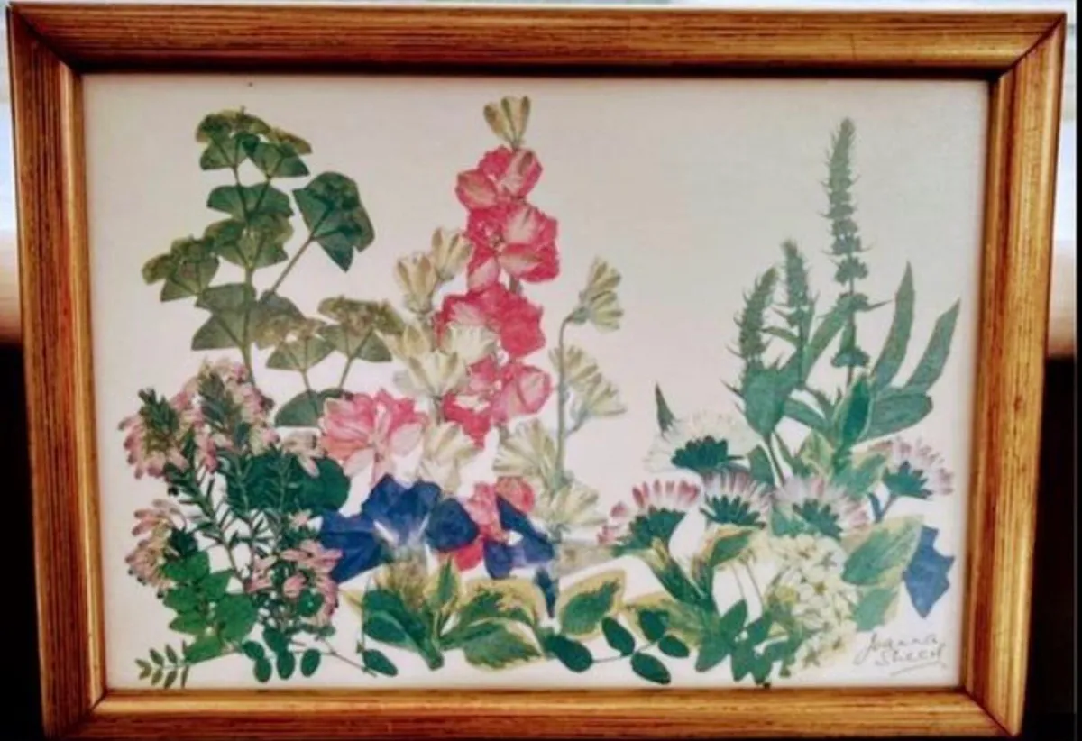 Set of 3 botanical framed  art - Image 4