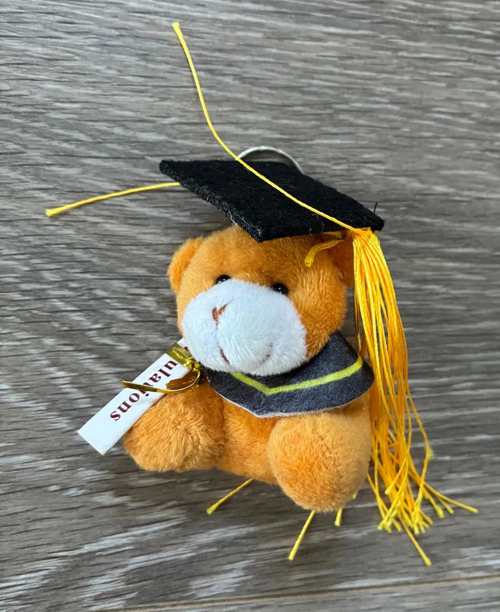 Mini Teddy for Graduation - Mini plush teddy bear - Image 1