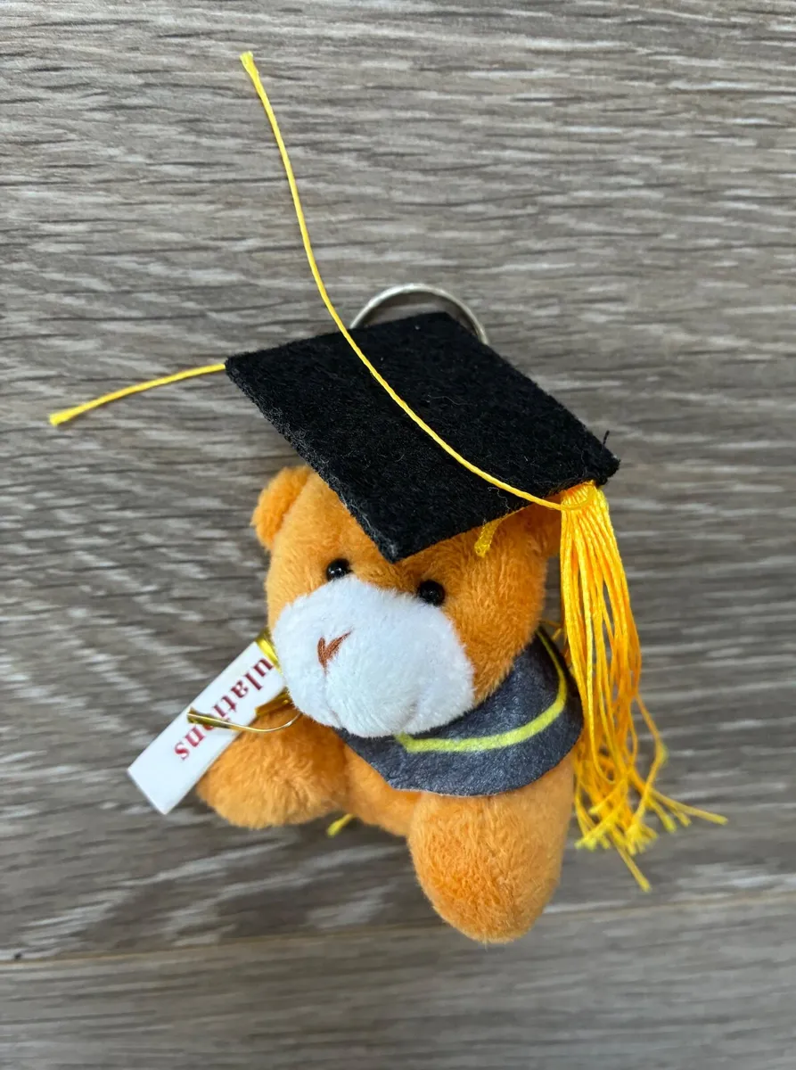 Mini Teddy for Graduation - Mini plush teddy bear - Image 2