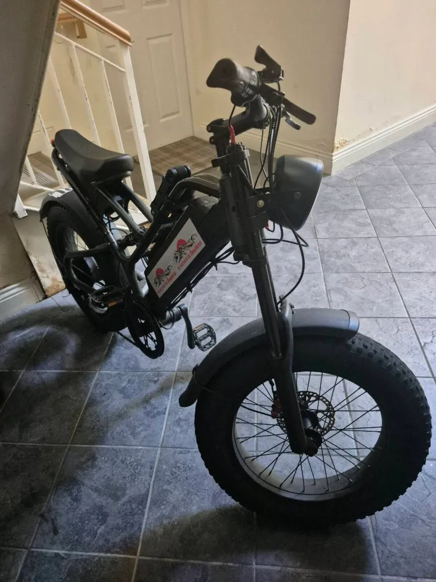Electric bike - Image 1