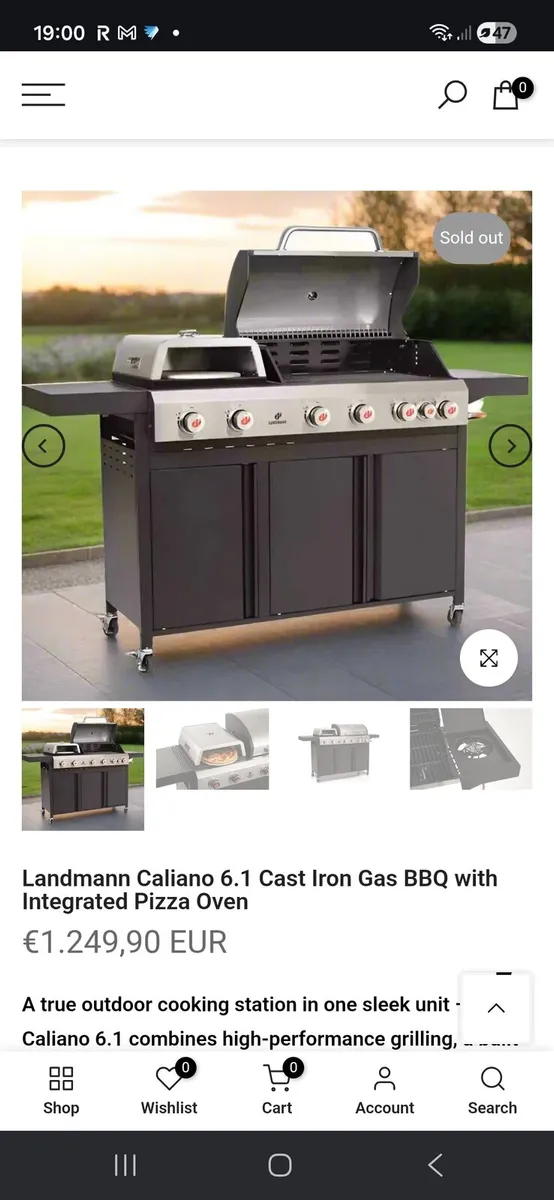 bbq with pizza oven - Image 4