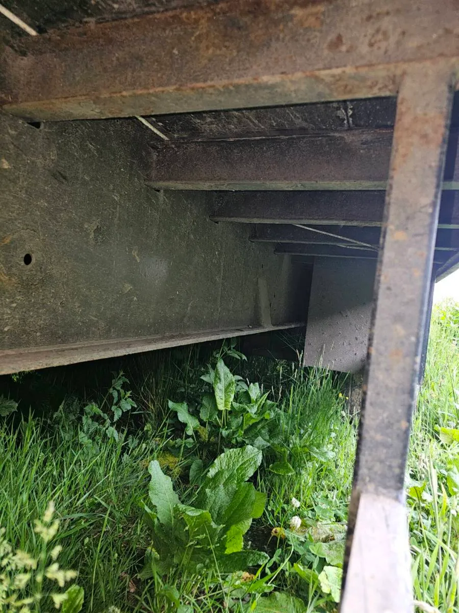 Cattle trailer - Image 3