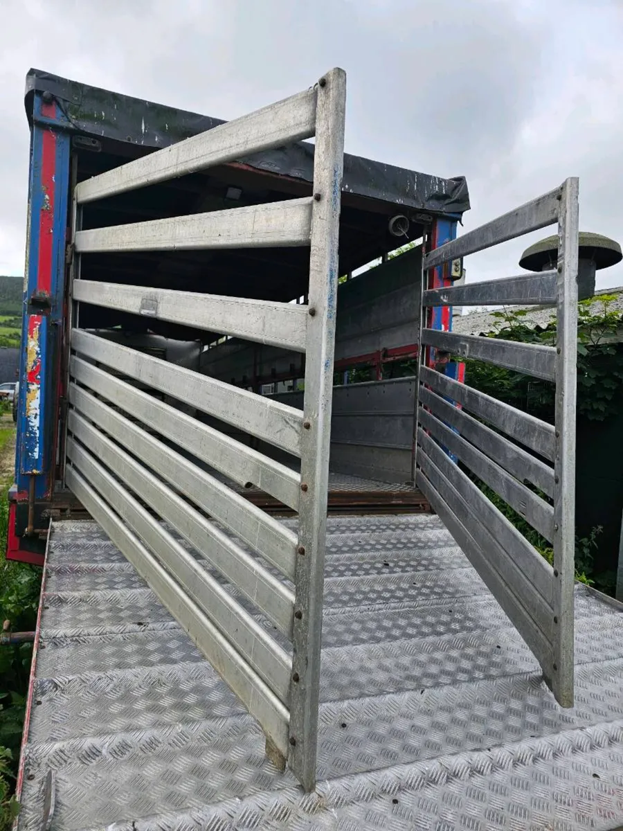 Cattle trailer - Image 4