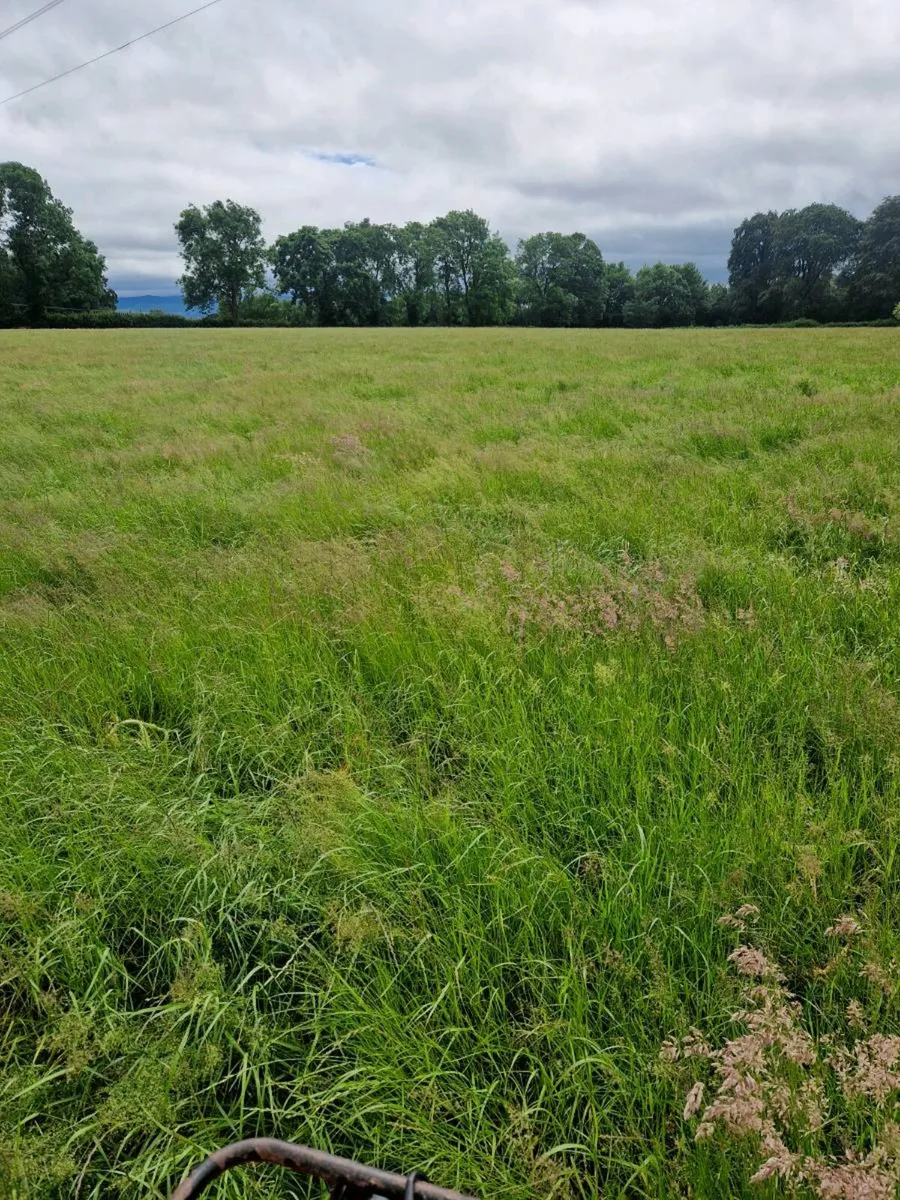 Bale silage - Image 1
