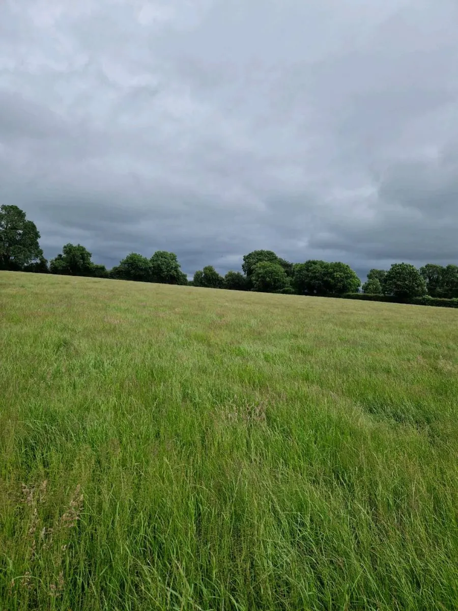 Bale silage - Image 2