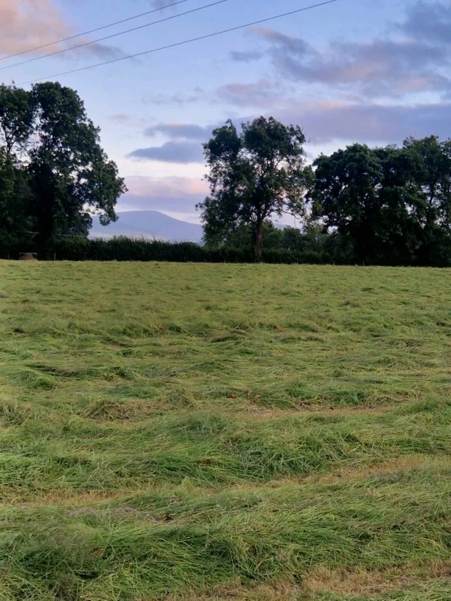Bale silage - Image 3