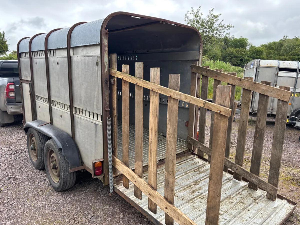 Ifor Williams 10ft x 5ft cattle trailer - Image 3