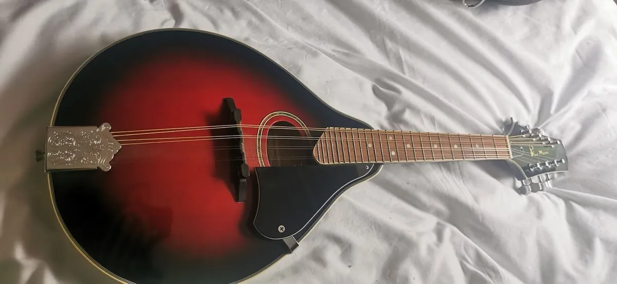 Mandolin - Image 3