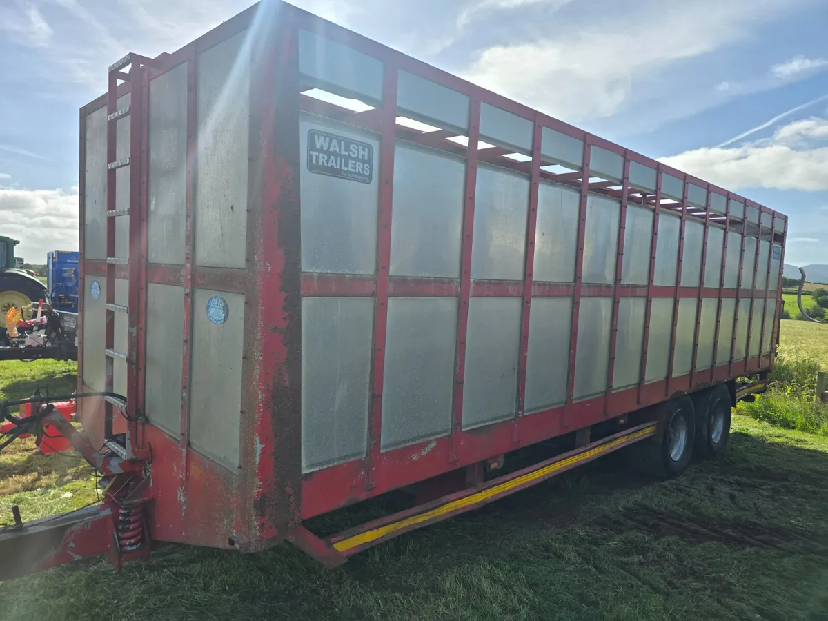 Cattle trailer - Image 4