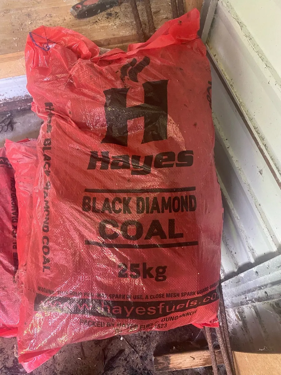 5 x 25kg Coal - Image 2