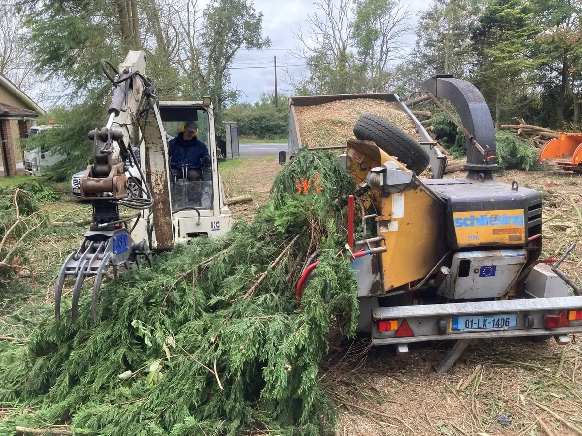 Tree service & Hedge cutting, Dublin - Image 1