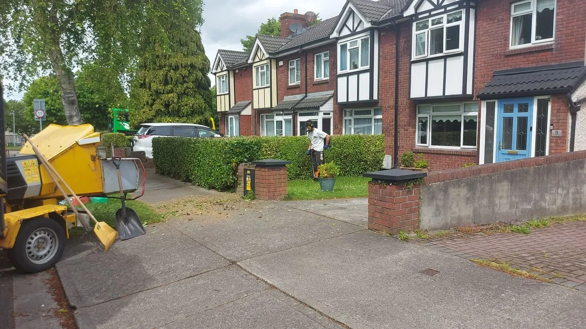 Tree service & Hedge cutting, Dublin - Image 4