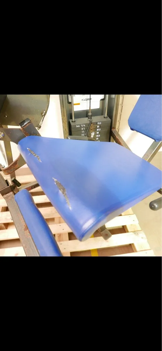 Cybex Leg Extension - Image 3