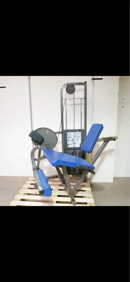 Cybex Leg Extension - Image 1