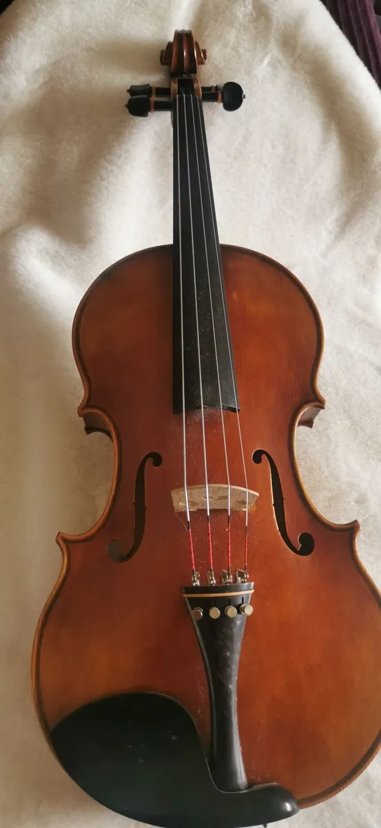 Viola - Image 1