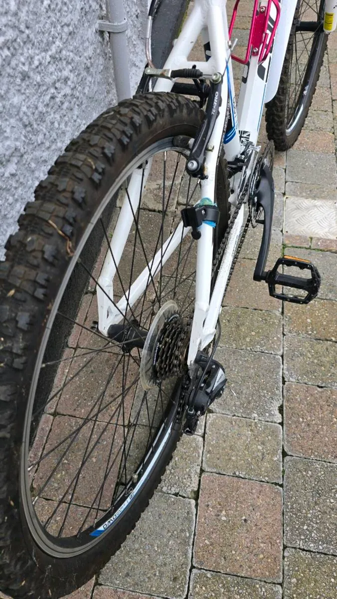 Bicycle - Image 3