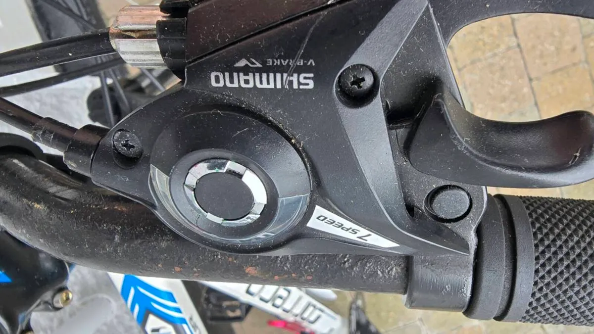 Bicycle - Image 4