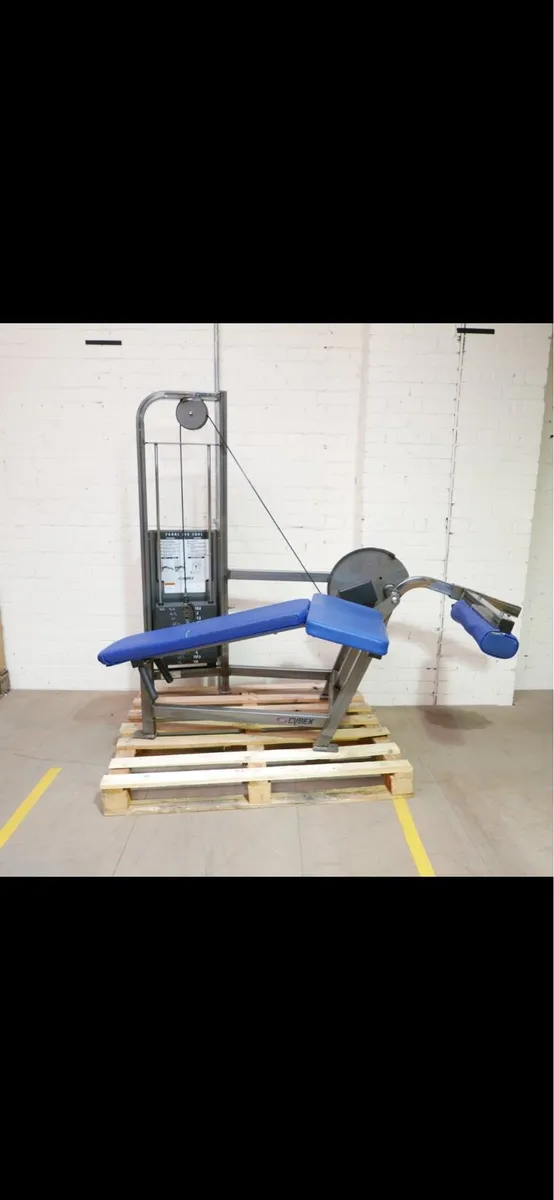 Cybex Lying Leg Curl - Image 1
