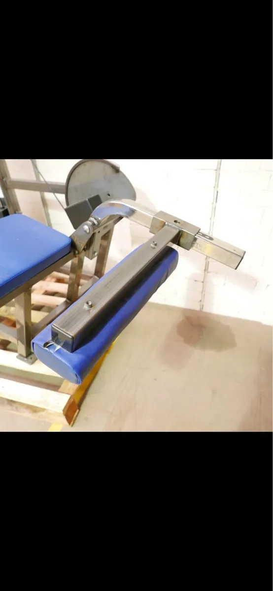 Cybex Lying Leg Curl - Image 2