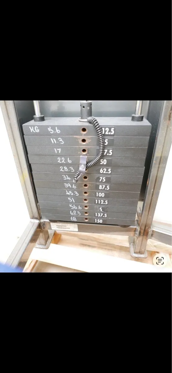 Cybex Lying Leg Curl - Image 3