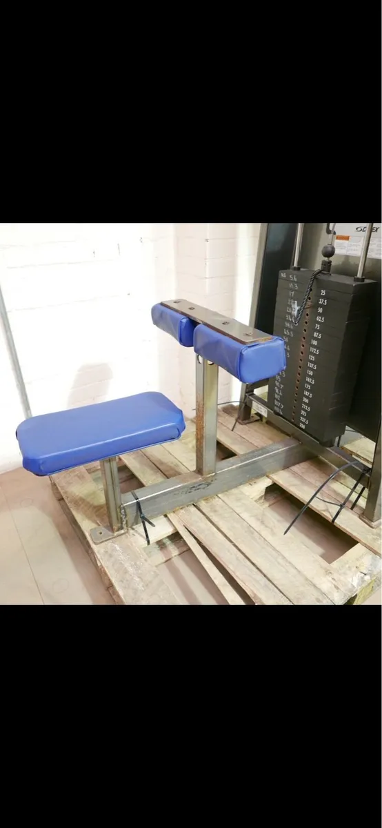 Cybex Lat Pulldown - Image 2