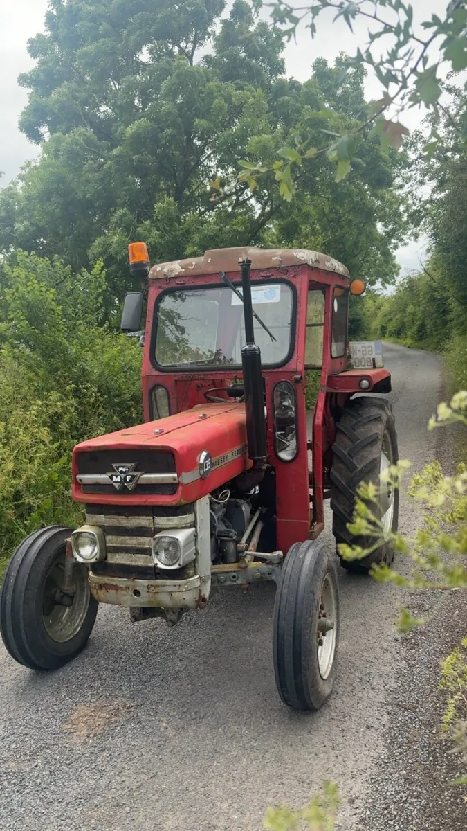 Massey Ferguson 135 - Image 2