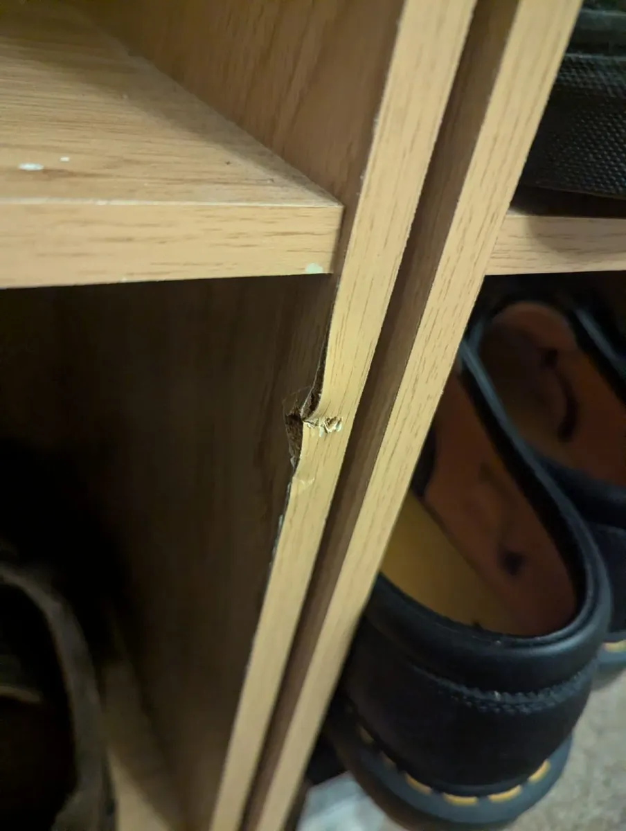 2 x Bookshelf - Image 2