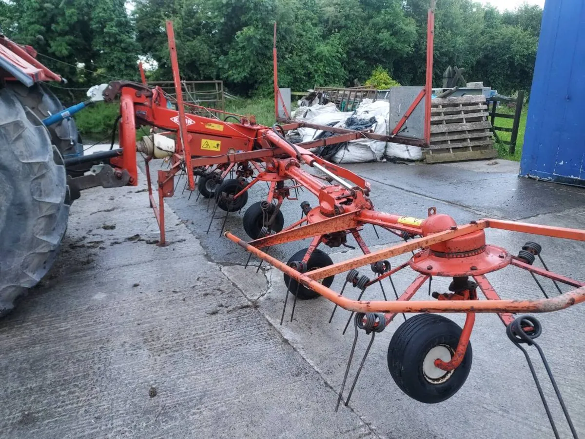 Kuhn - Image 2
