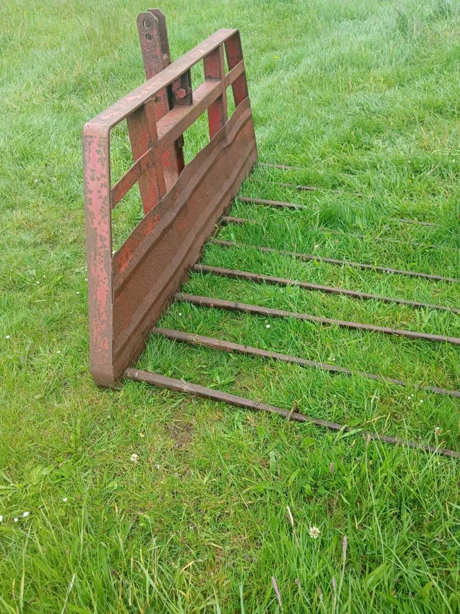 Push off buck rake discs - Image 2
