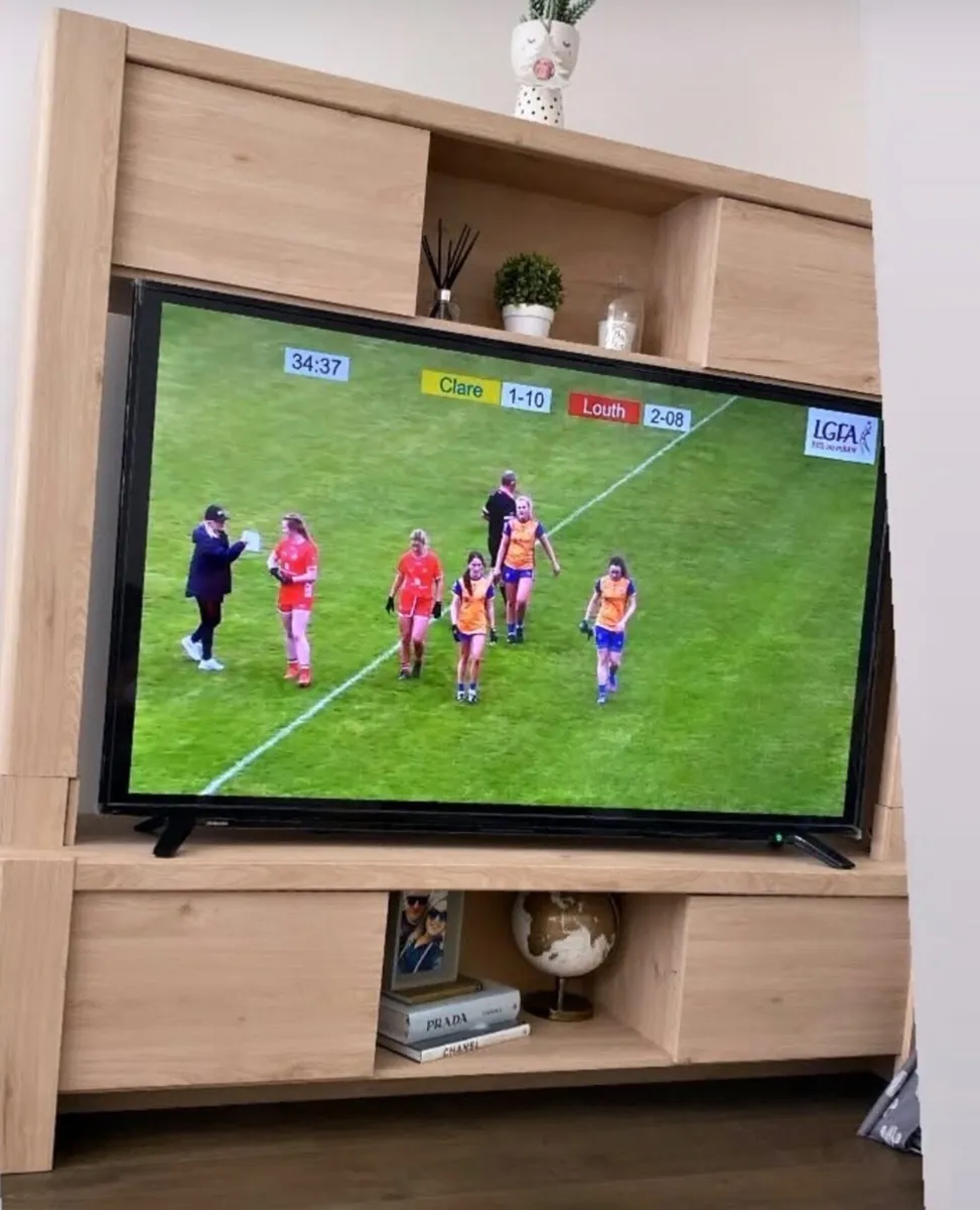 TV unit - Image 1