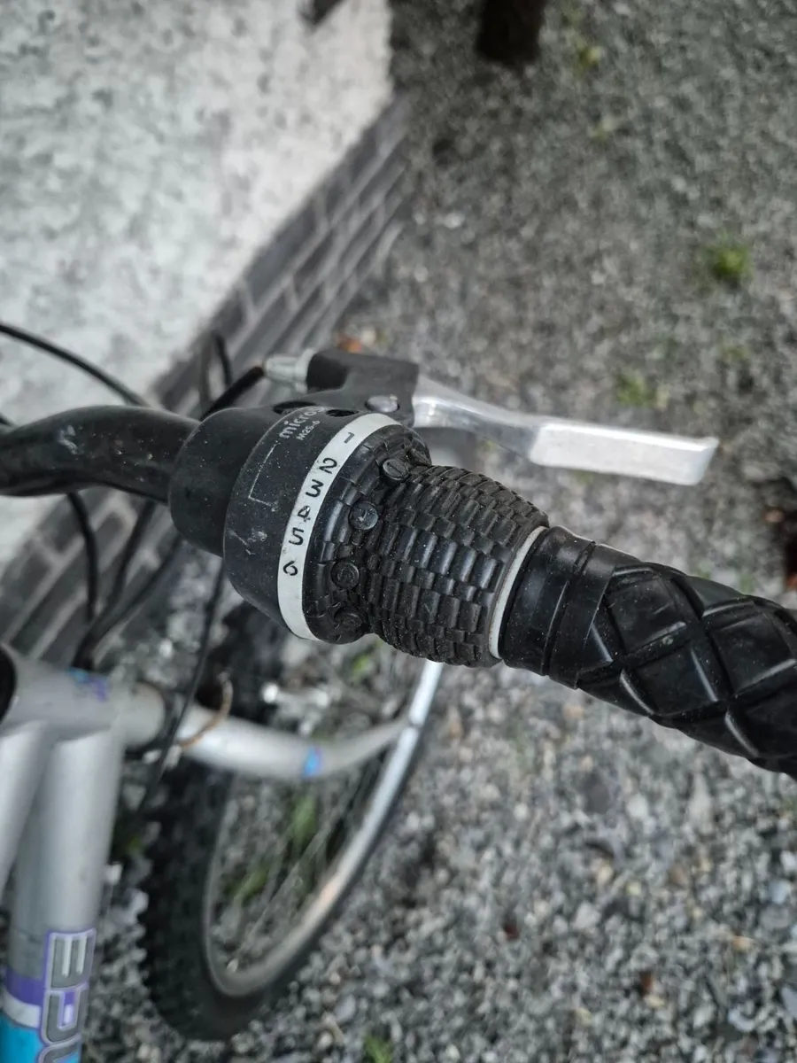 Bicycle - Image 2