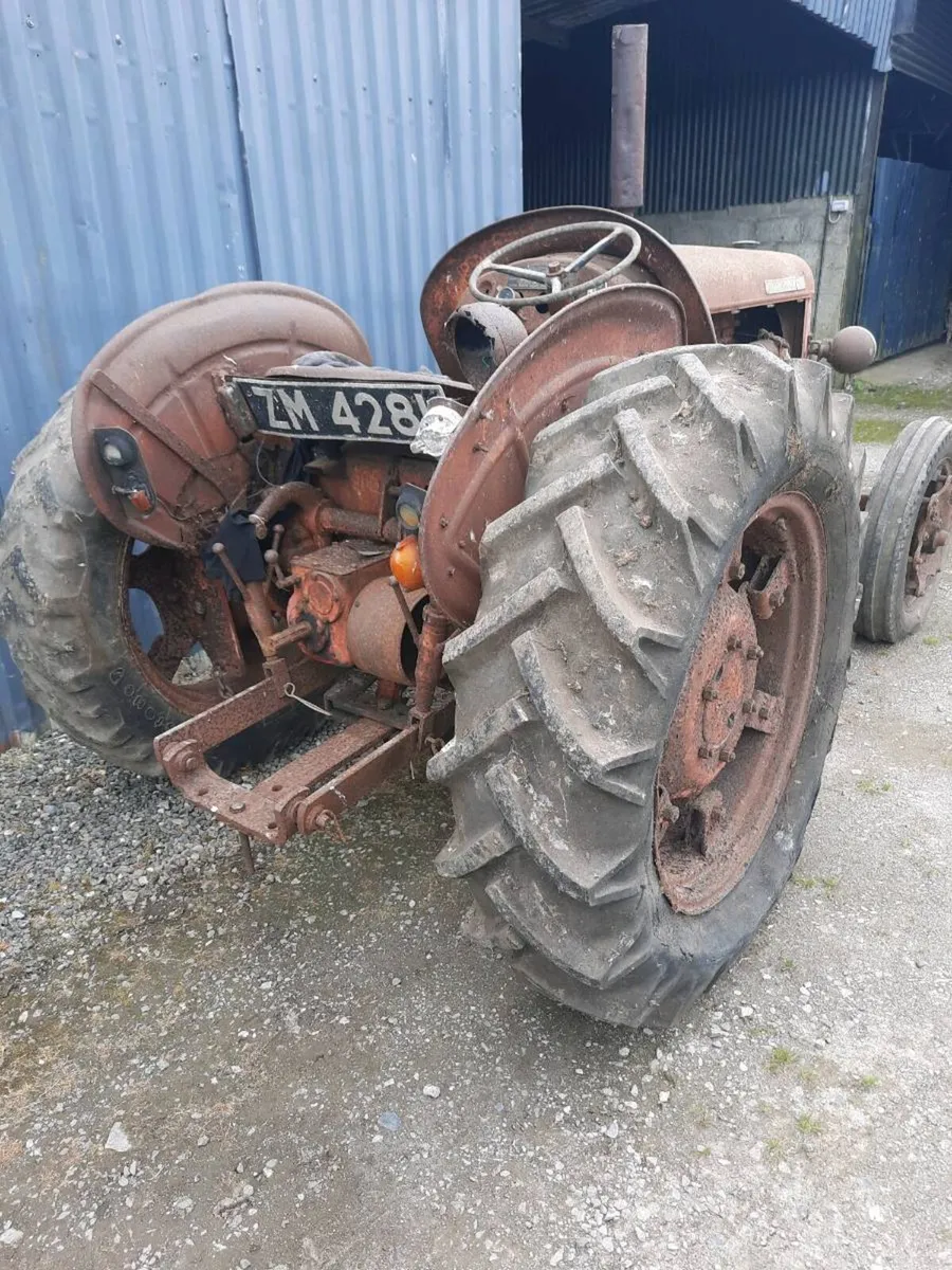 David Brown Tractor 25D - Image 1