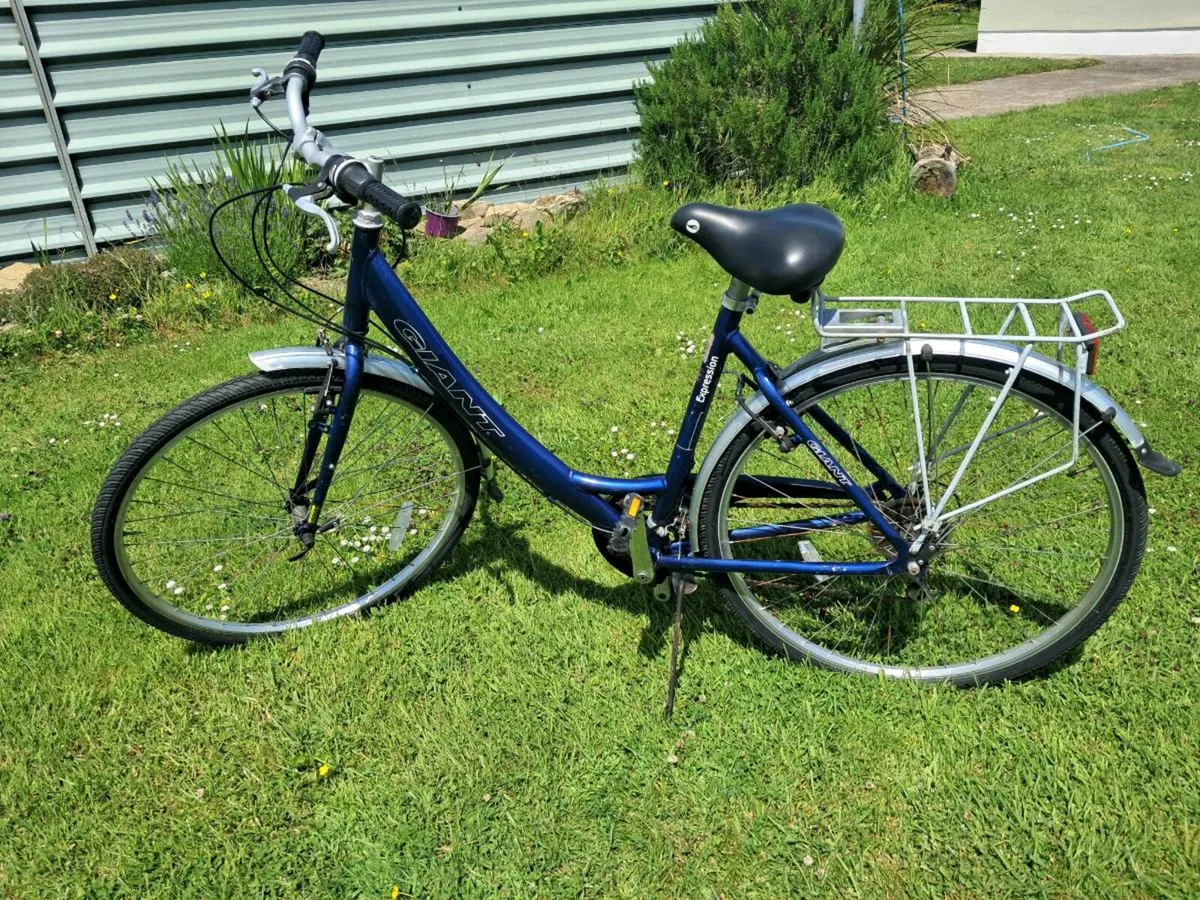 Ladies Giant Bike - Image 1