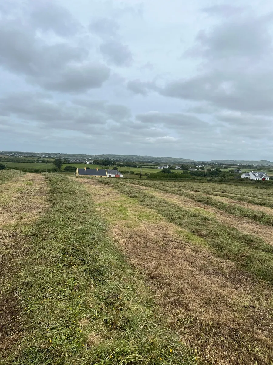 Bales - Image 1