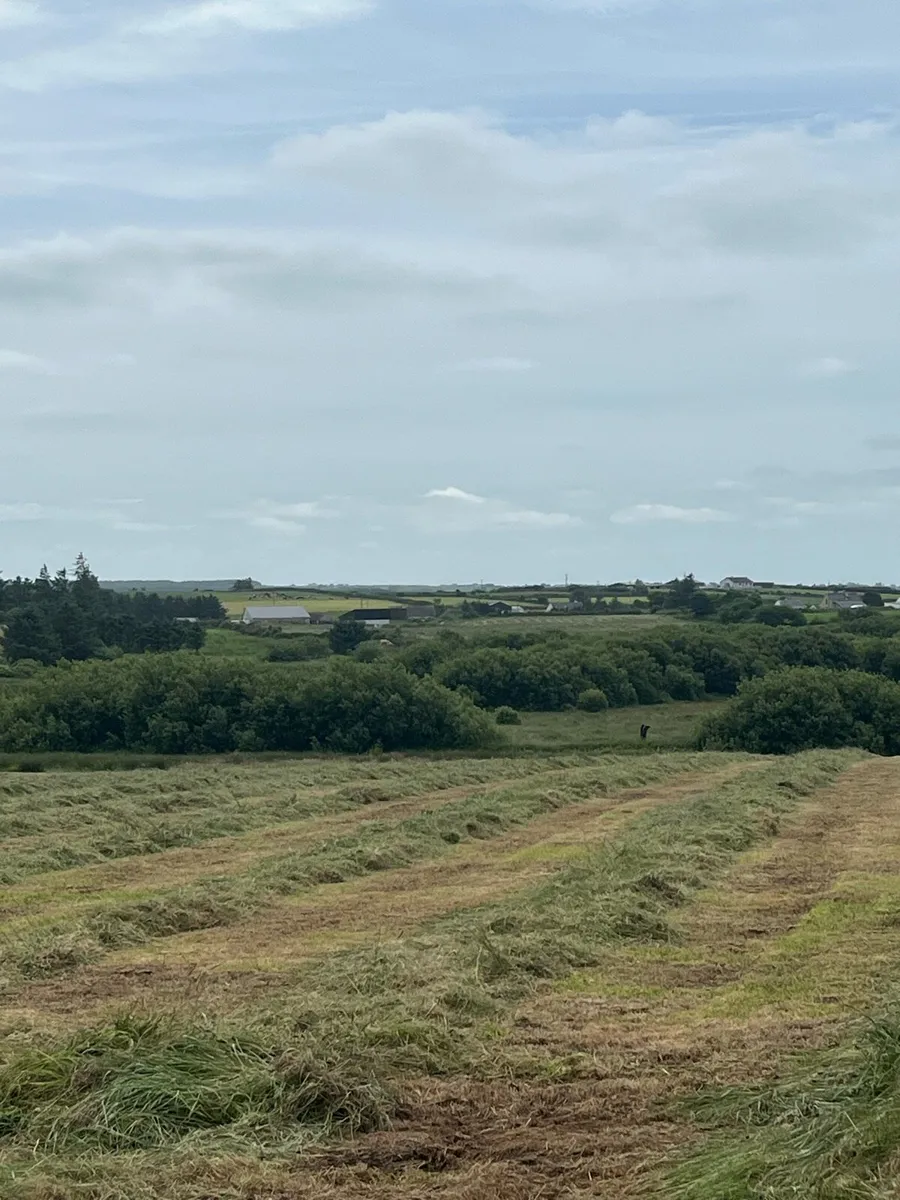 Bales - Image 2